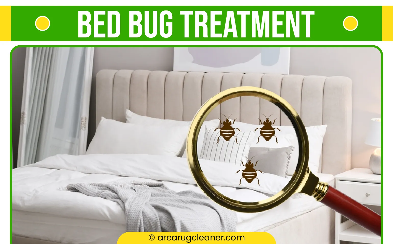 carpet cleaning in NY, carpet cleaning in new york, carpet cleaning NY, carpet cleaners in NY, carpet cleaners in new york, commercial carpet cleaning, commercial carpet cleaning in NY, NY rug cleaners, rug cleaning services in NY, same day carpet cleaning, same day rug cleaning