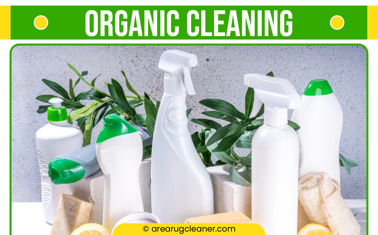 carpet cleaning in NY, carpet cleaning in new york, carpet cleaning NY, carpet cleaners in NY, carpet cleaners in new york, commercial carpet cleaning, commercial carpet cleaning in NY, NY rug cleaners, rug cleaning services in NY, same day carpet cleaning, same day rug cleaning